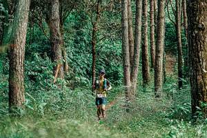 BIB: 
                            <button type="button" onclick="openModal(25235815)" class="btn btn-primary btn-sm float-right btn-popup" data-toggle="modal" data-target=".modal-high-quality">
                        <i class="fas fa-shopping-cart"></i> Add to Cart
                    </button>
                                            <button type="button" onclick="isThisMe(25235815, true)" class="btn btn-success btn-sm float-right btn-popup btn-isme hidden" data-toggle="tooltip" data-placement="bottom" title="นี่คือรูปของคุณใช่ไหม คลิกที่นี่เพื่อเอาเข้าอัลบั้ม">
                        <i class="fas fa-plus"></i> Add to album
                    </button>
                    <button type="button" onclick="isThisMe(25235815, false)" class="btn btn-warning btn-sm float-right btn-popup btn-isnotme hidden">
                        <i class="fas fa-ban"></i> Remove from album
                    </button>